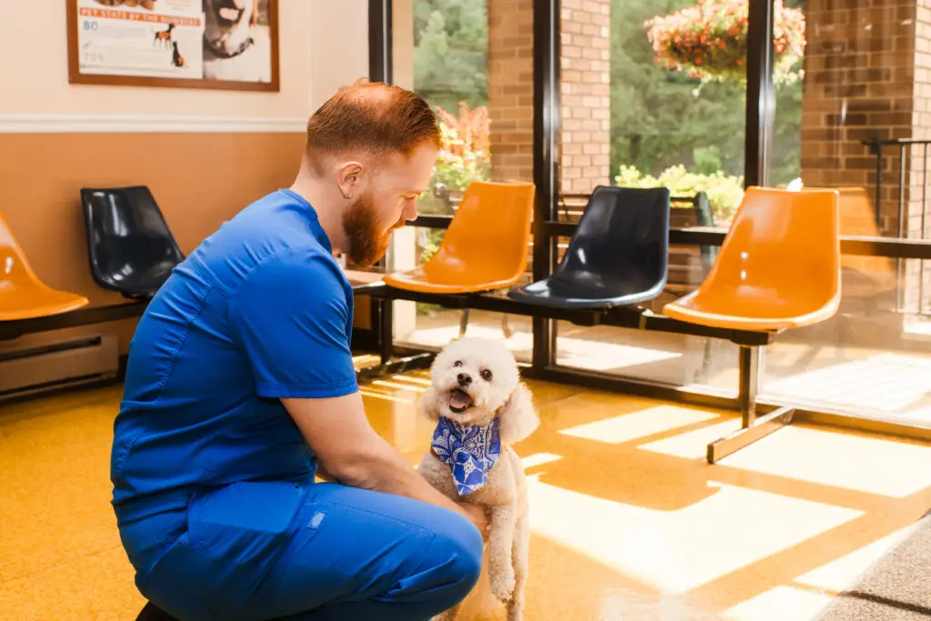 Staff interacting with a happy small dog in the Bell County Animal Clinic waiting area.