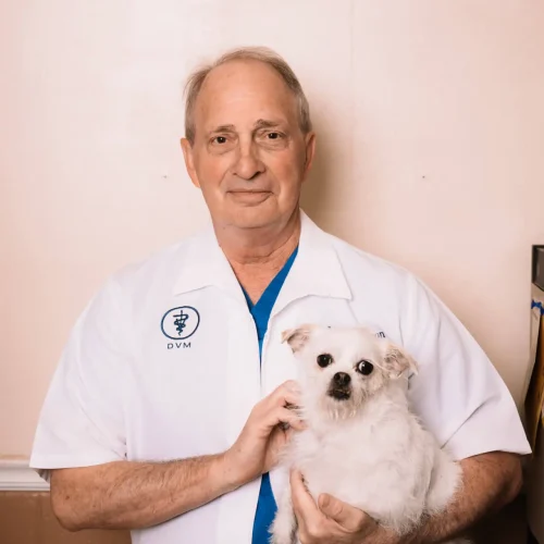 DR. MARK WATSON